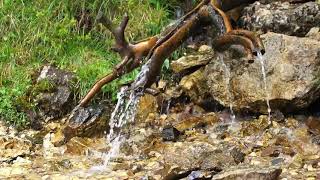 Relaxing piano music with flowing water sounds.