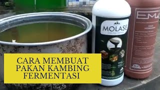 COMBORAN KAMBING AGAR NAFSU MINUM DAN MAKAN / Em4 Peternakan Kambing