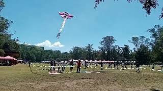 Kites flying