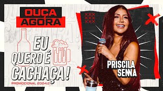 Priscila Senna - Eu Quero é Cachaça (Promocional 2024.2) MÚSICAS NOVAS