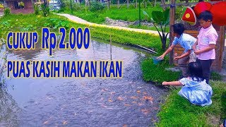 Memberi Makan Ikan di Puri Mataram Sleman Yogyakarta