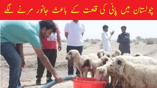 Lack of water in cholistan Pakistan || Cholistan m Pani ki kmmi || Lack of water in cholistan 2022