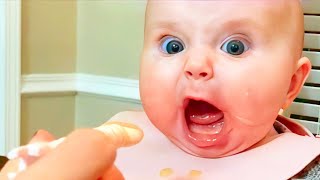 Cute Funny Baby of the Month - try not to laugh