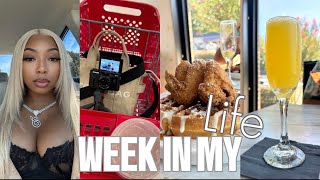 AN AMAZING WEEK IN MY LIFE *BRUNCH, ACNE JOURNEY, TARGET RUNS, PICTURES & MORE | Shalaya Dae