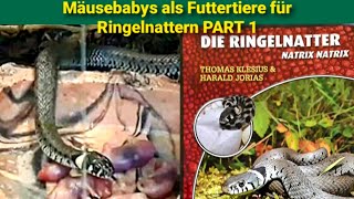 Ringelnatter/Mäusebabys als Futter PART 1 #schlangen #serpent #snake #natrix #ringelnatter #snakes