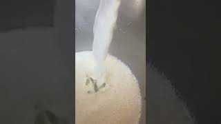 SOYMILK MACHINE-8800226166