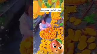 حتى المانجو عندهم غير #tiktok #explore #السعودية #youtubeshorts #ترند #shorts #short #china