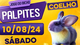 PALPITE DO DIA 10/08/2024 - JOGO DO BICHO 🍀 TODAS AS LOTERIAS 🍀