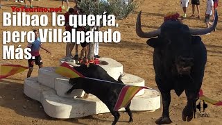 El toro más bonito de Castilla y León X Juventud ViIlalpando