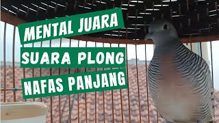 UNDANG LAWAN BUNYI - LOKAL ALAM GACOR