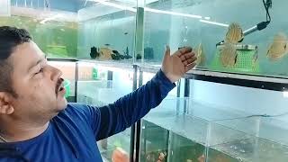 fish aquarium fish shop jk fishing 91 #aquarium #amazing #aquariumfish