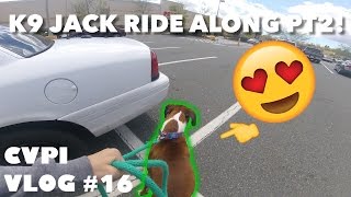 CVPI Vlog #16 - K9 JACK RIDE ALONG PT. 2!