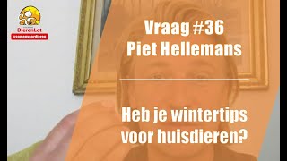 Vraag #36 DierenLot - Piet Hellemans - Wintertips