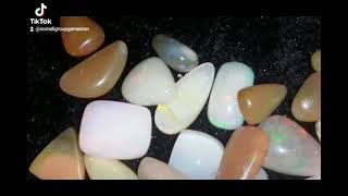 opal jigjiga somali