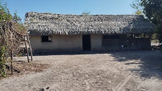 NOSSA ROTINA DO SÍTIO ALIMENTANDO OS ANIMAIS E FAZENDO ALMOÇO E DOCE DE CAJU