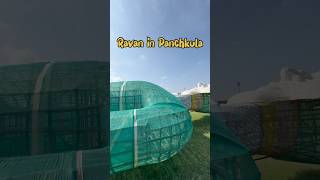 Ravan in Panchkula #ravan2024 #shorts #shortvideo #ravanmaking2024