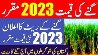 ganne ka rate today in Pakistan| ganne ka rate 2023 24|گنے کا ریٹ