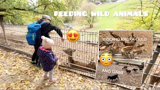 DAMING WILD ANIMALS | ACTIVITIES NANG AKING MGA ANAK | PINA KITA ANG TALENTO NILA | FRIENDS BONDING