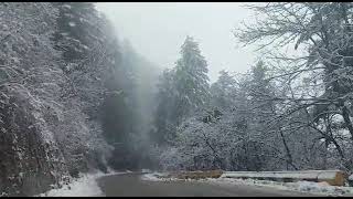 #shorts Murree You Beauty