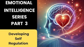 Emotional Intelligence Series Part 3 (  Developing Self-Regulation)