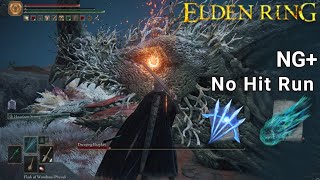 [Elden Ring] Decaying Ekzykes (Caelid) vs Sorcerer/Mage fight | No Hit Run | 2024