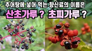 추어탕에 넣어 먹는 향신료의 이름은