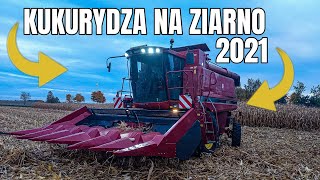 🔥KUKURYDZA NA ZIARNO 2021🔥CASE AXIAL FLOW 2188🔥AGROTEAM-ŁÓDZKIE🔥