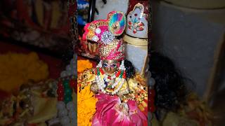 makhan chor #shrikrishna #laddugopal #radheshyaam #balkrishna #makhanchor #viralvideo #song #shorts