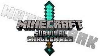 Minecraft  survival