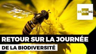 Retour sur la journée de la biodiversité