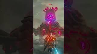 The best botw combo I have ever seen #zelda #tearsofthekingdom #sigma#viral #shortsfeed