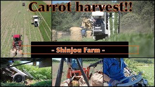 【新庄農場】北海道の人参収穫作業 Carrot harvesting work in Hokkaido Japan