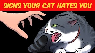 10 Signs Your CAT really HATES you