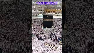 मक्का में हाजियों की आमद शुरू 🕋✈️#makkah #short #hajj2024