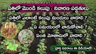 పత్తిలో కలుపు నివారణ పద్దతులు || పత్తిలో వాడే కలుపు మందులు || cotton weed management in telugu