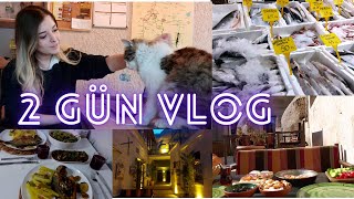 NEDEN ORTALARDA YOKTUM | BİR TÜRLÜ BAŞLAYAMADIĞIM SU DİYETİ | MÜTHİŞ İRAN YEMEĞİ | 2 GÜN VLOG