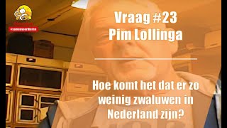 Vraag #23 DierenLot - Pim Lollinga - Zwaluwen