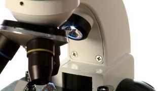 Duo Scope Microscope Kit