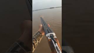 Murghabi ka shikar Duck Hunting