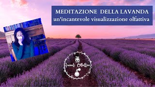 MEDITAZIONE DELLA LAVANDA, un'incantevole visualizzazione olfattiva