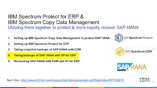 IBM SP for ERP & CDM with SAP Hana - Backing up with SP for ERP – Demo