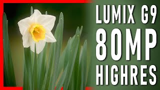 Panasonic G 100-300mm and LUMIX G9 high resolution 80MP // Episode #33