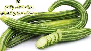 فوائد القثاء للجسم ( الأته )