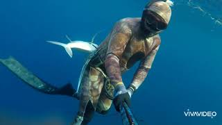 Giant Trevally another blessings ka happiness🤙🏾& un lucky Great Baracuda 😭😭😭😭