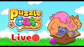 puzzle cat live #live #puzzlecat #gamee