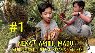 MENANG BANYAK PANEN MADU DI PINGGIRAN HUTAN