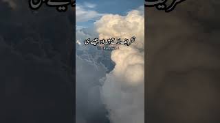 اے جھنڈے لگانے والو تمہیں مبارک ہو 💯✌#islamicstatus #youtubeshorts #viralvideo #islamicvideo #shorts