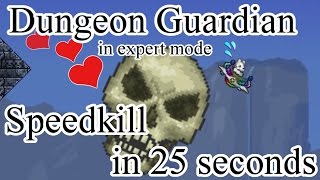 Terraria - Expert Dungeon Guardian Speedkill in 25 seconds