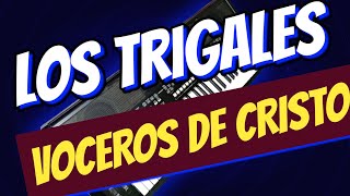 Los trigales Voceros de cristo ritmo personalizado con introducción