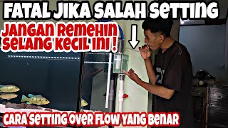 Cara Setting Over Flow aquarium. Penjelasan fungsi selang kecil di Box Over Flow || Sump Filter